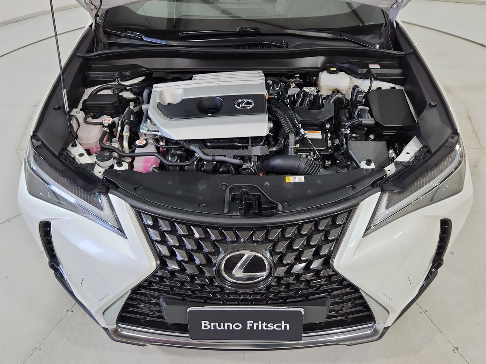 Lexus UX250H HATCH BACK 2.0 AUT 2023 - Imagen 19 de 20