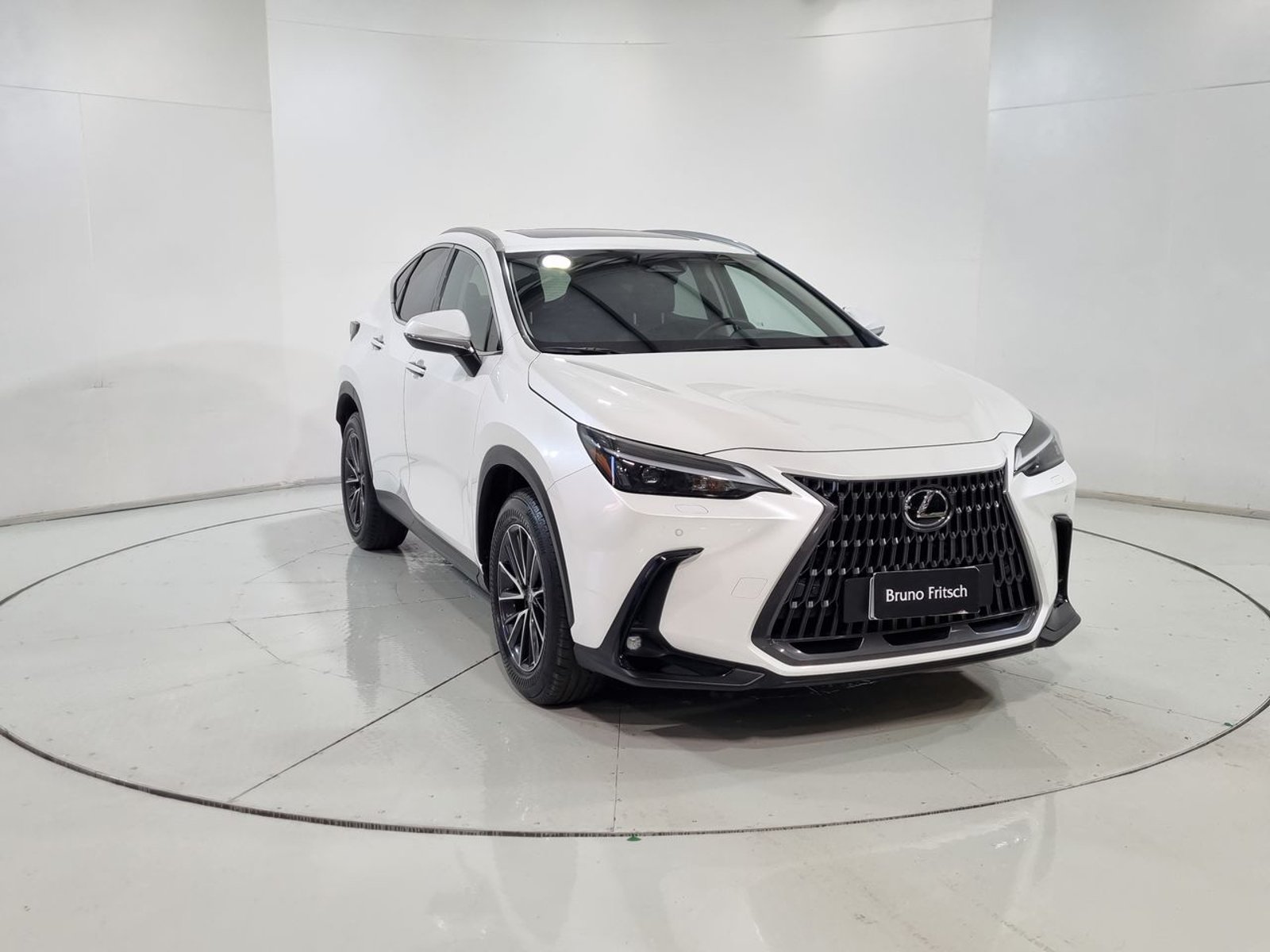 Lexus NX350H NX 350H 2.5 AUT 2025 - Imagen 16 de 20
