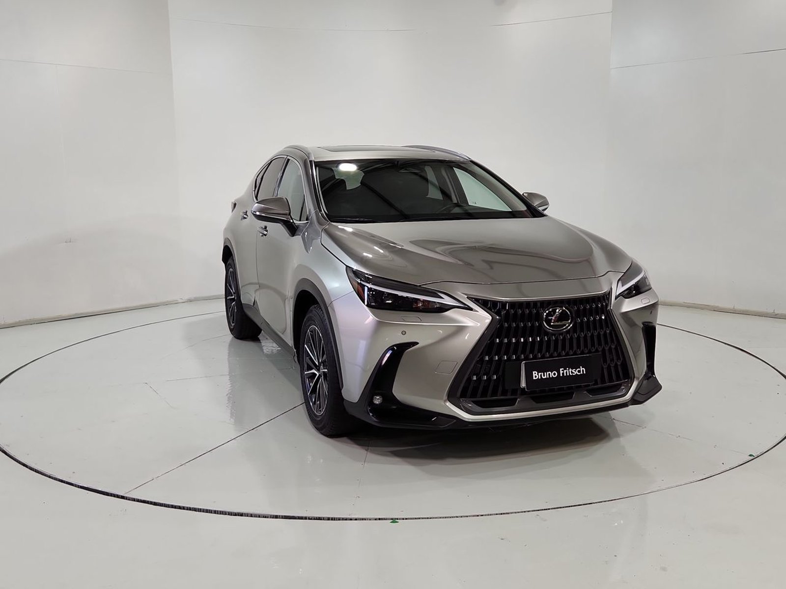 Lexus NX350H NX 350H 2.5 AUT 2024 - Imagen 16 de 20
