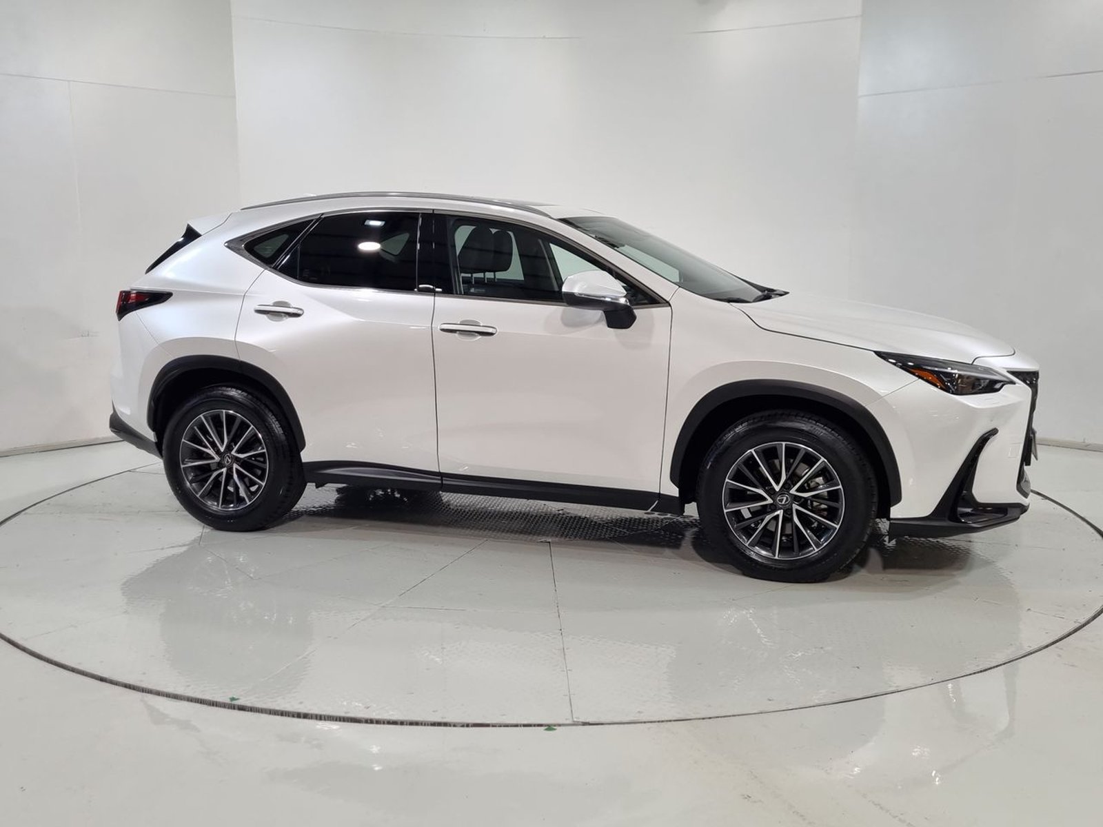 Lexus NX350H NX 350H 2.5 AUT 2025 - Imagen 14 de 20