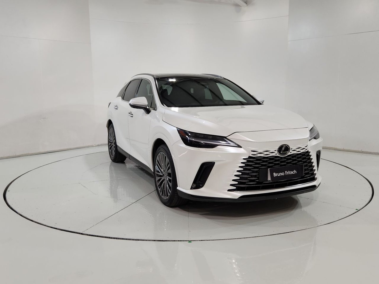 Lexus RX350H RX  350 4X4 2.5 AUT 2024 - Imagen 16 de 20