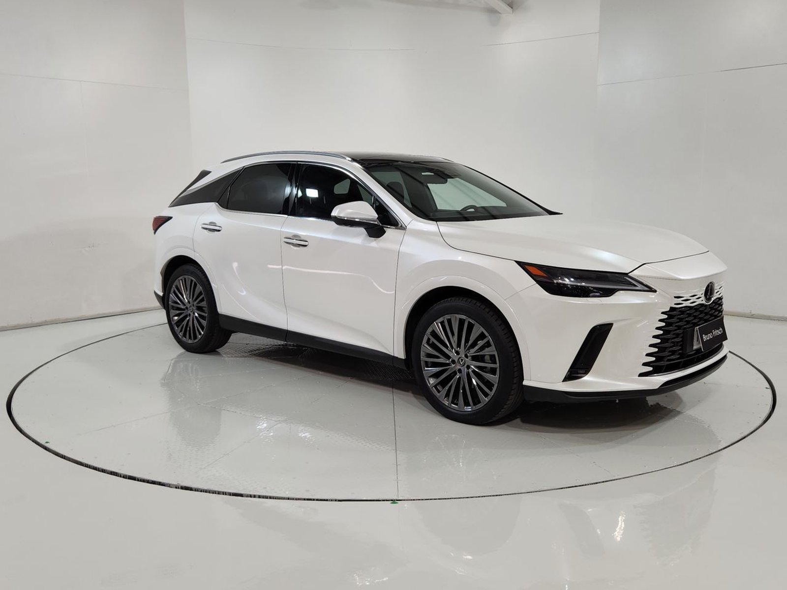 Lexus RX350H RX  350 4X4 2.5 AUT 2024 - Imagen 15 de 20