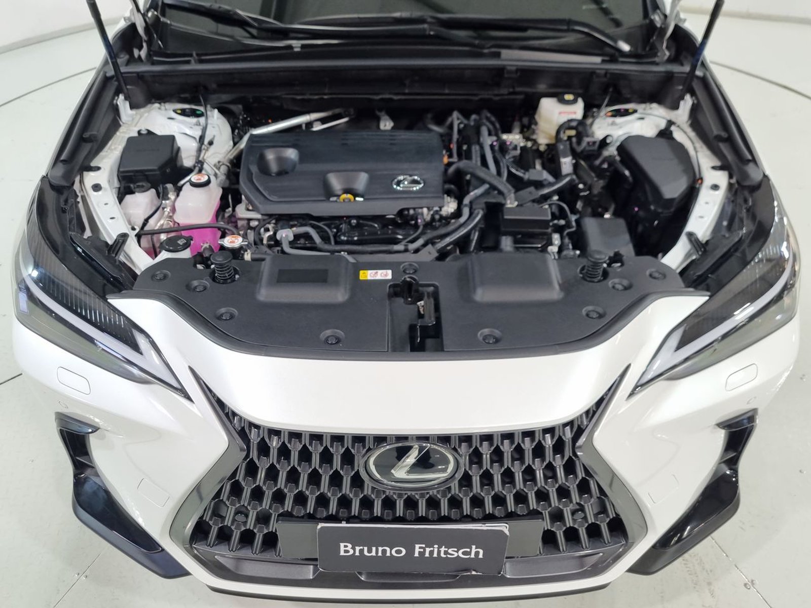 Lexus NX350H NX 350H 2.5 AUT 2025 - Imagen 19 de 20