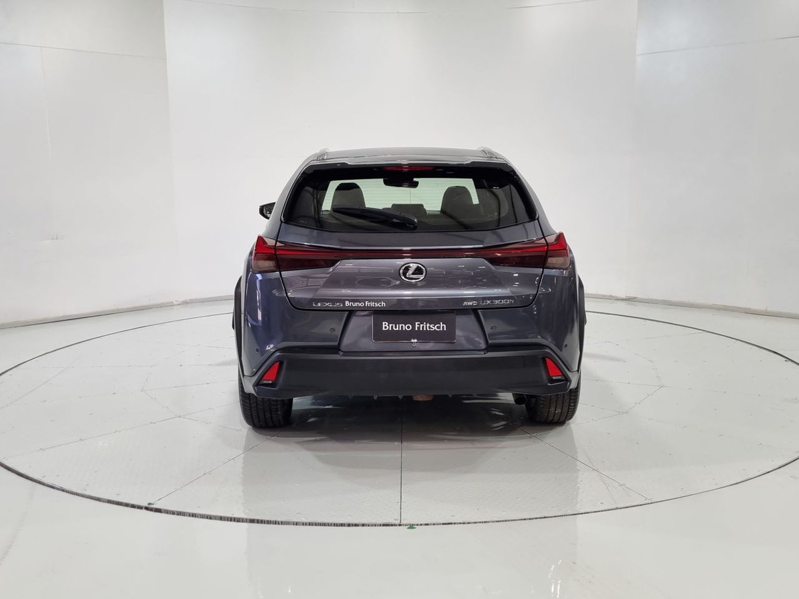 Lexus UX300H HEV 4X4 2.0 AUT 2024 - Imagen 9 de 20