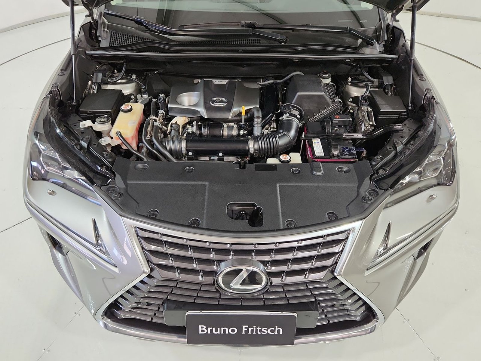 Lexus NX300 4X4 2.0 AUT 2018 - Imagen 19 de 20