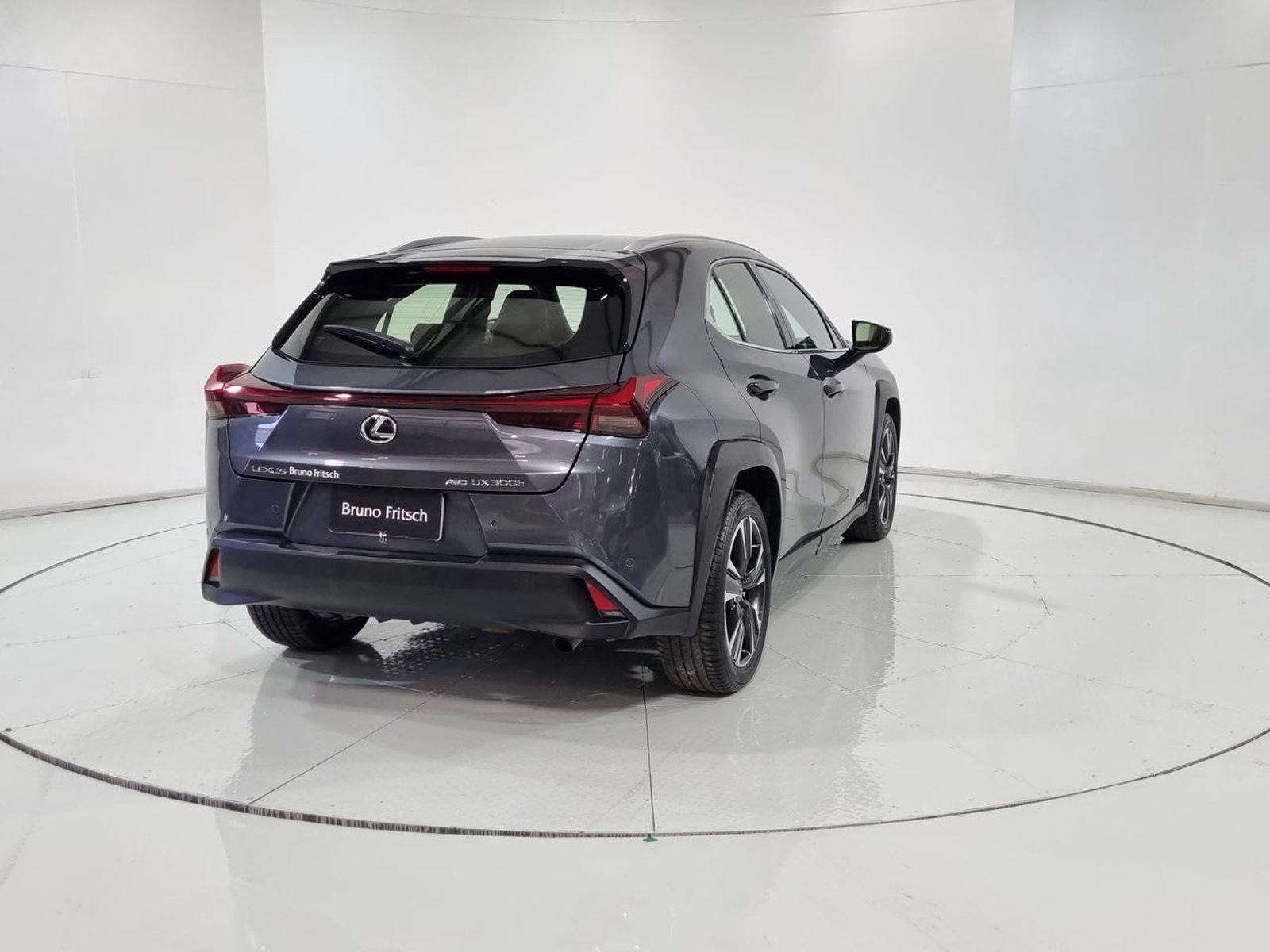 Lexus UX300H HEV 4X4 2.0 AUT 2024 - Imagen 10 de 20
