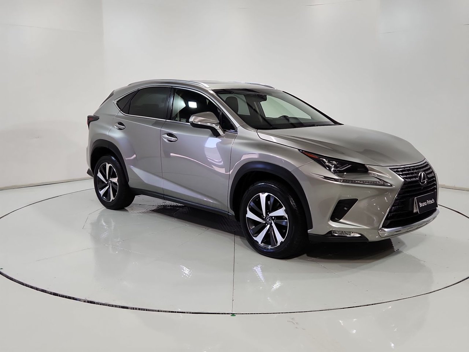 Lexus NX300 4X4 2.0 AUT 2018 - Imagen 15 de 20