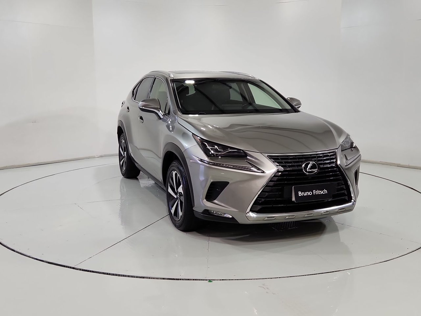 Lexus NX300 4X4 2.0 AUT 2018 - Imagen 16 de 20