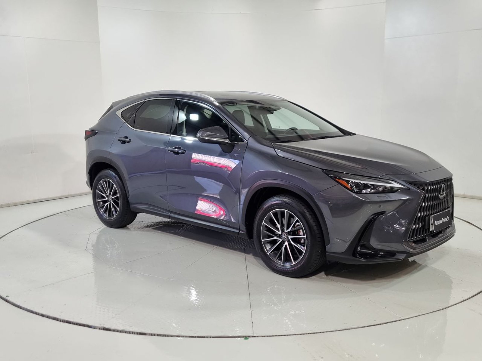 Lexus NX350H NX 350H 2.5 AUT 2023 - Imagen 15 de 20