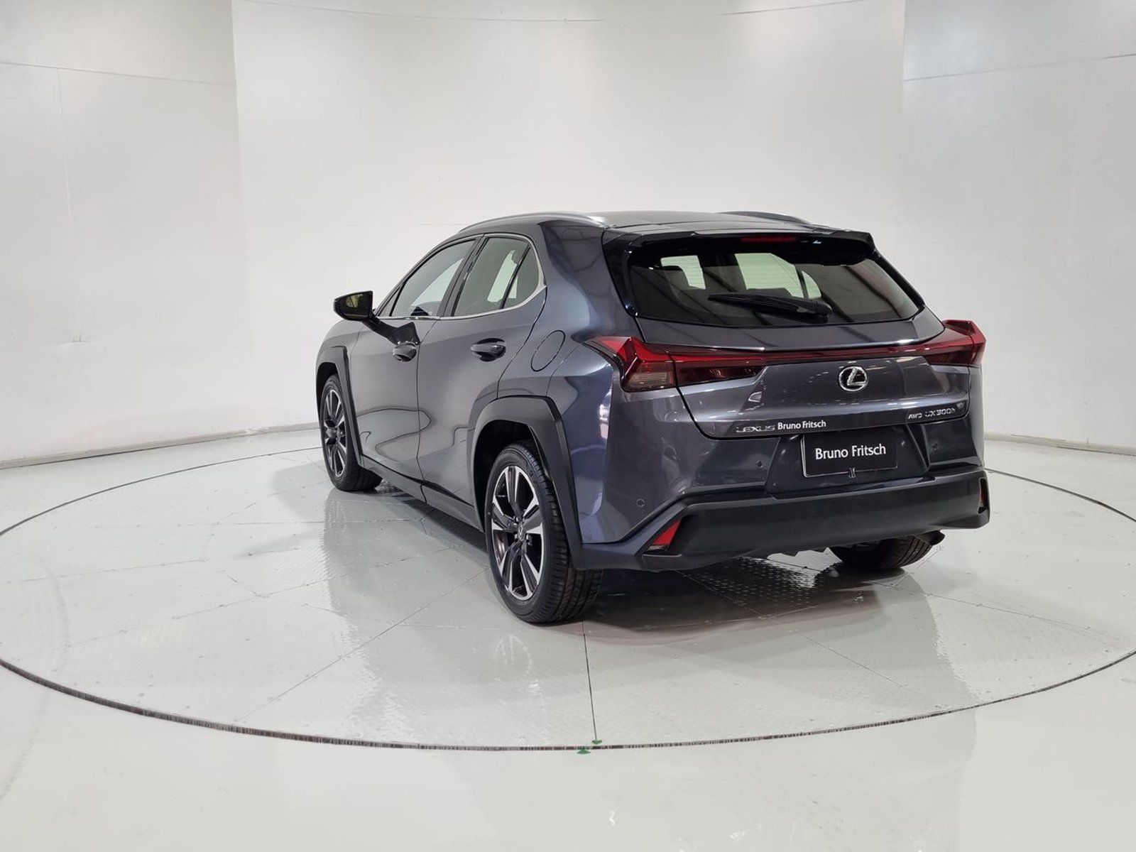 Lexus UX300H HEV 4X4 2.0 AUT 2024 - Imagen 8 de 20
