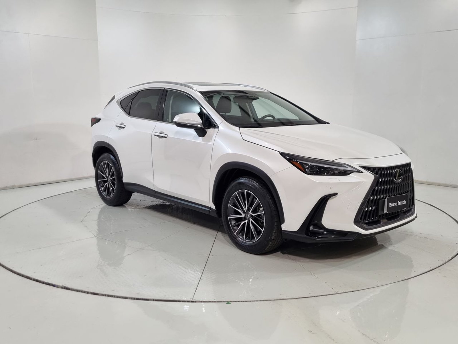 Lexus NX350H NX 350H 2.5 AUT 2025 - Imagen 15 de 20