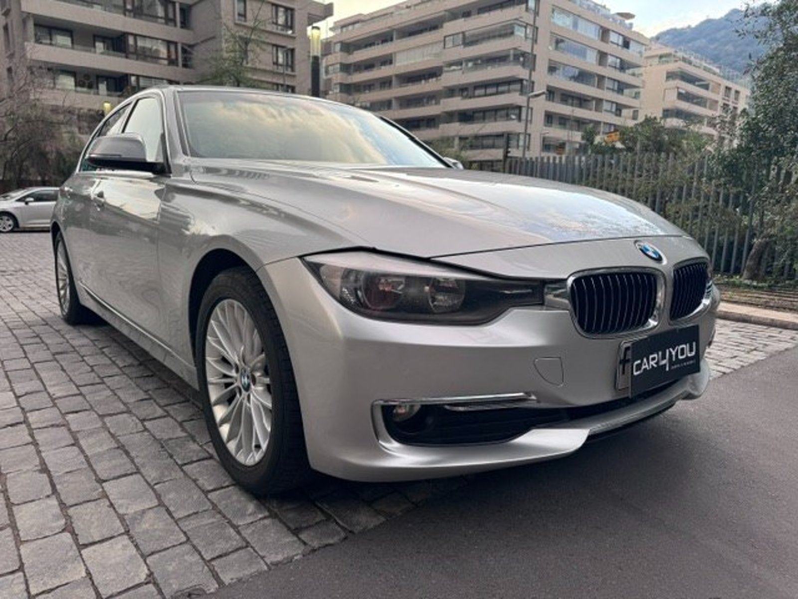 BMW 316 LUXURY 2013 - Foto 3 de 10