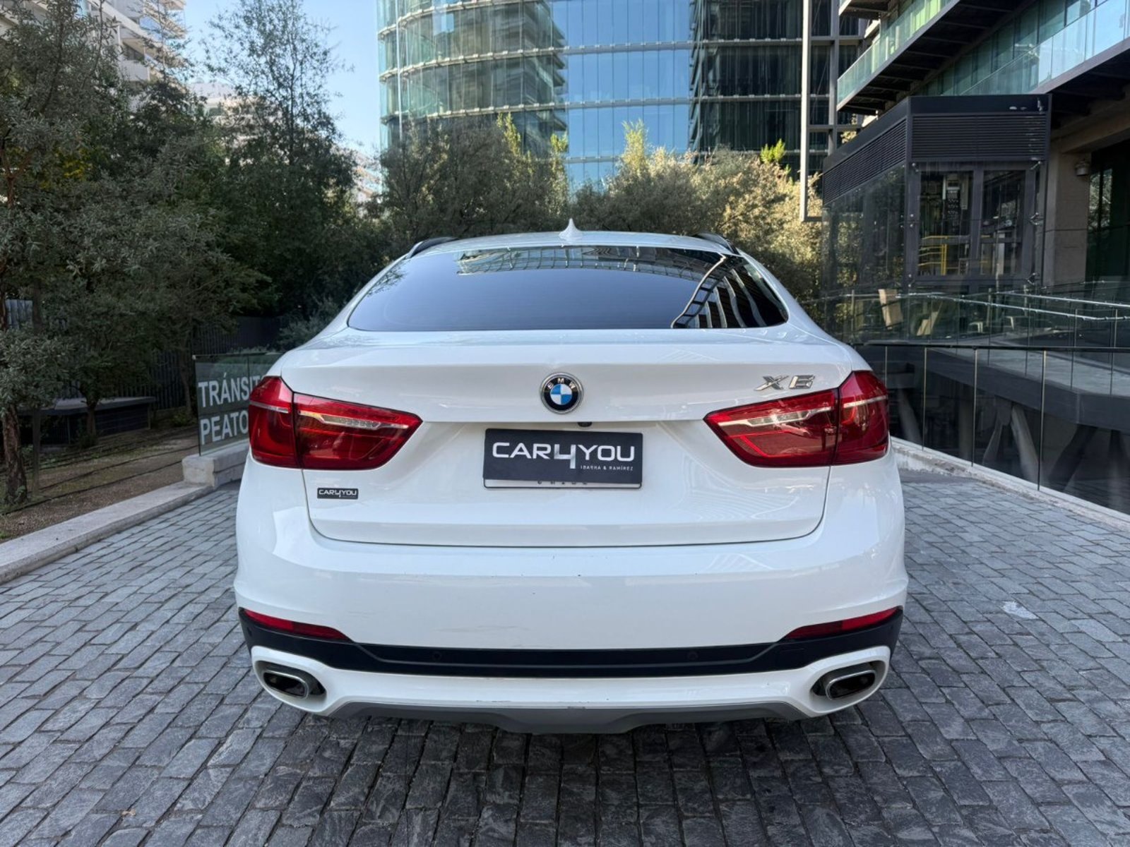 BMW X6 XDRIVE 30D AUT. 2019 - Imagen 9 de 10