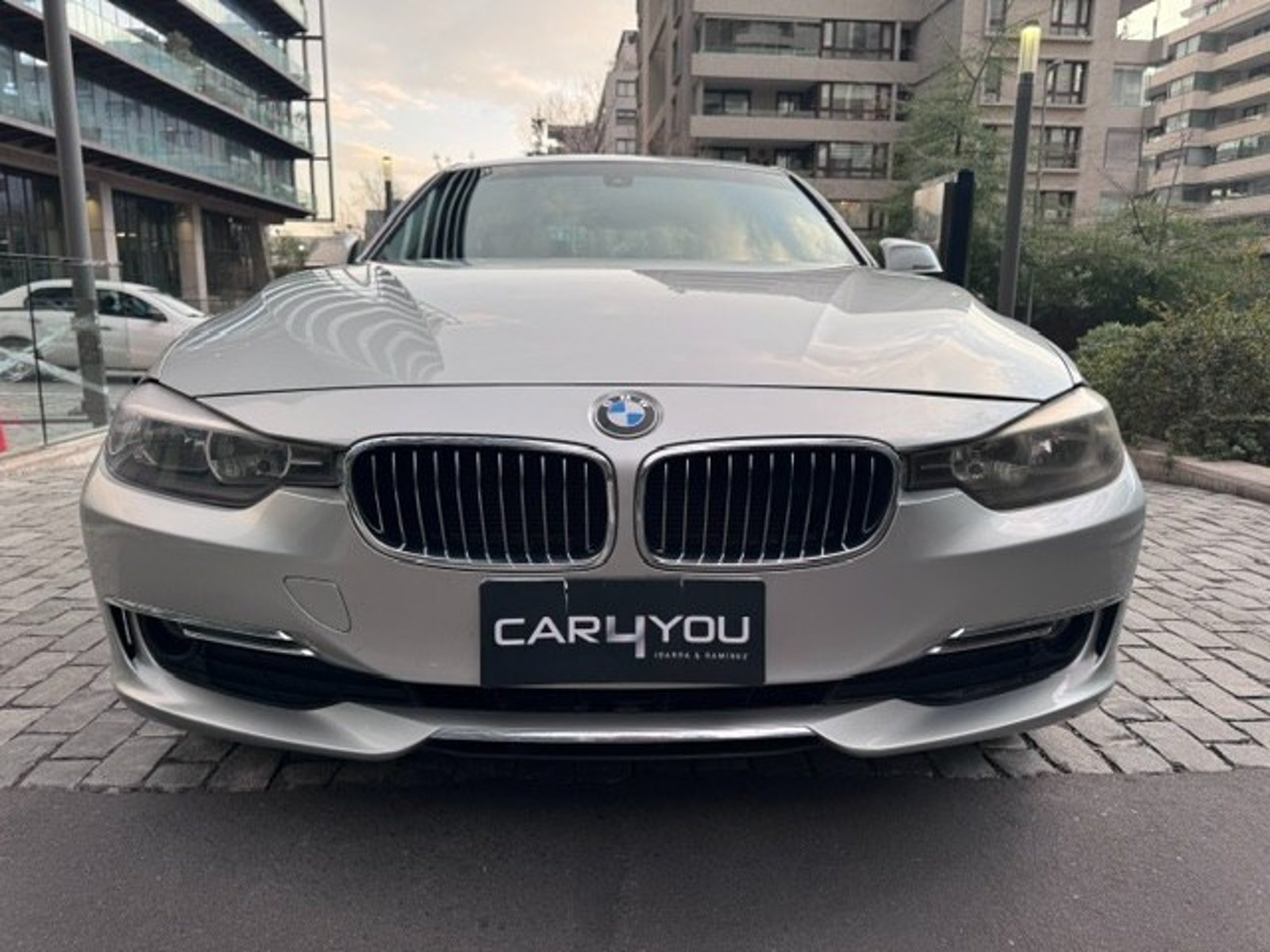 BMW 316 LUXURY 2013 - Foto 2 de 10