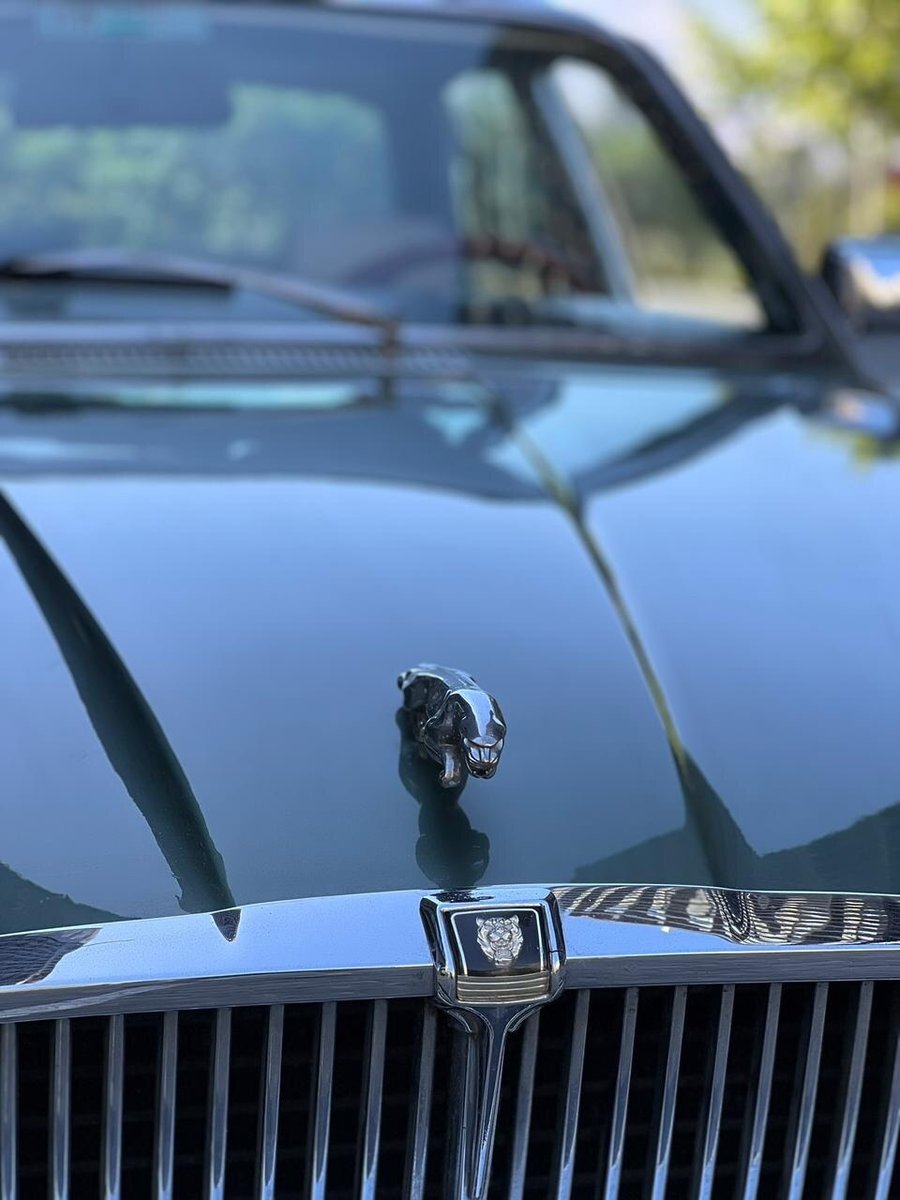 JAGUAR XJ6 XJ6 1985 - Imagen 3 de 10