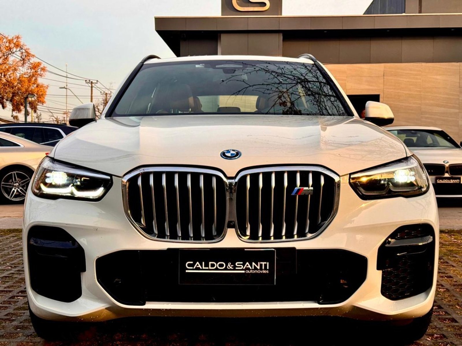 BMW X5 XDRIVE 45E M SPORT 3.0 AT 2022 - Imagen 8 de 10