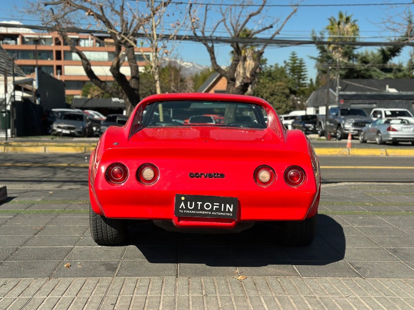 Chevrolet CORVETTE STINGRAY 1974 - Imagen 4 de 9