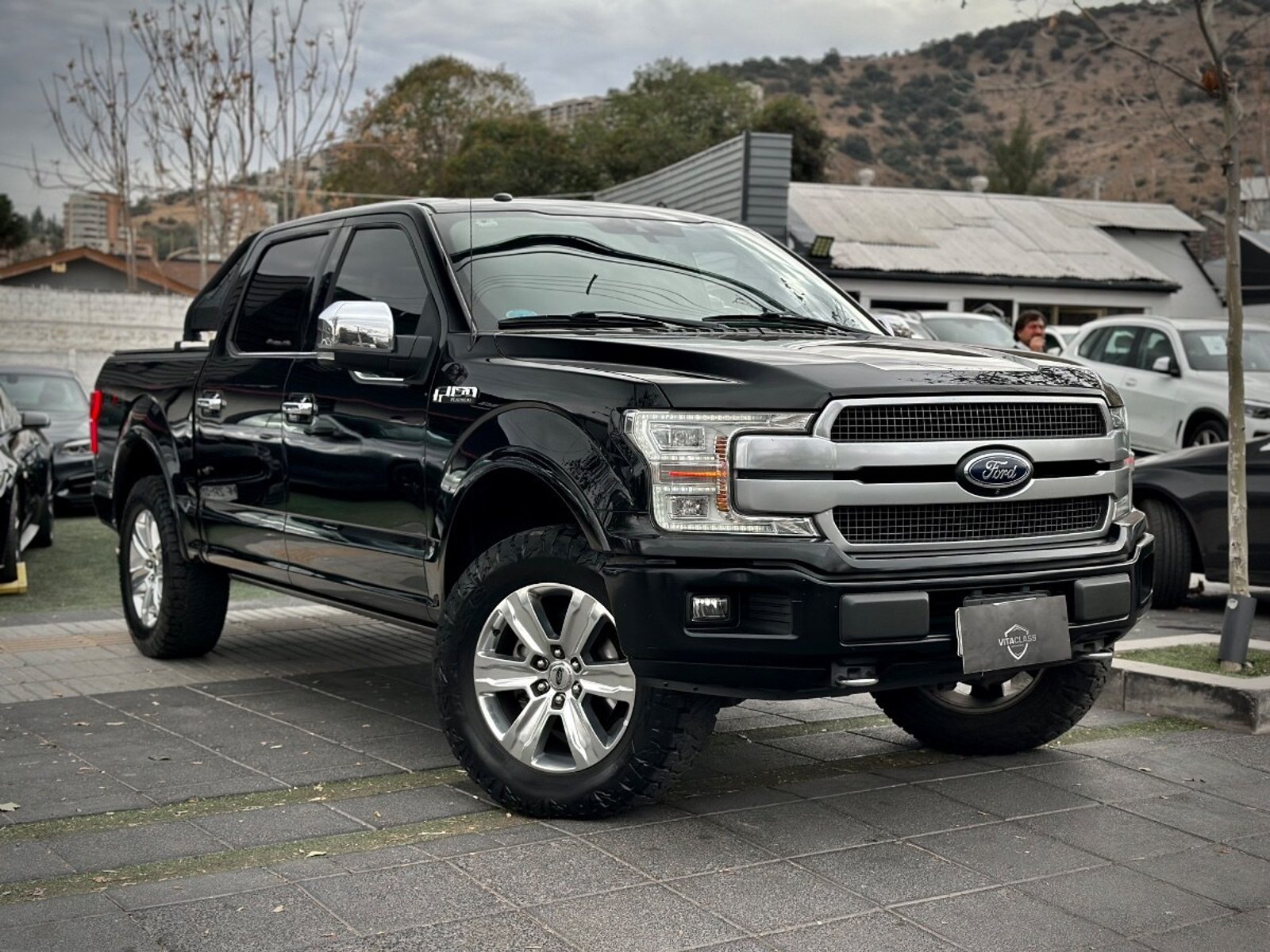 FORD F-150 PLATINUM 2019 - Imagen 3 de 10