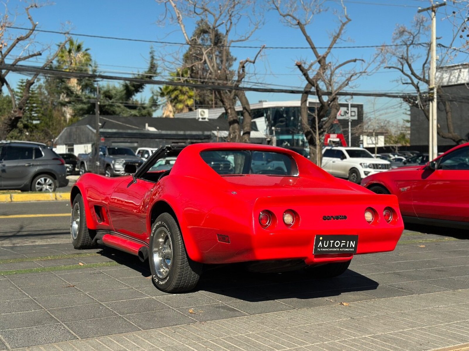 Chevrolet CORVETTE STINGRAY 1974 - Imagen 3 de 9