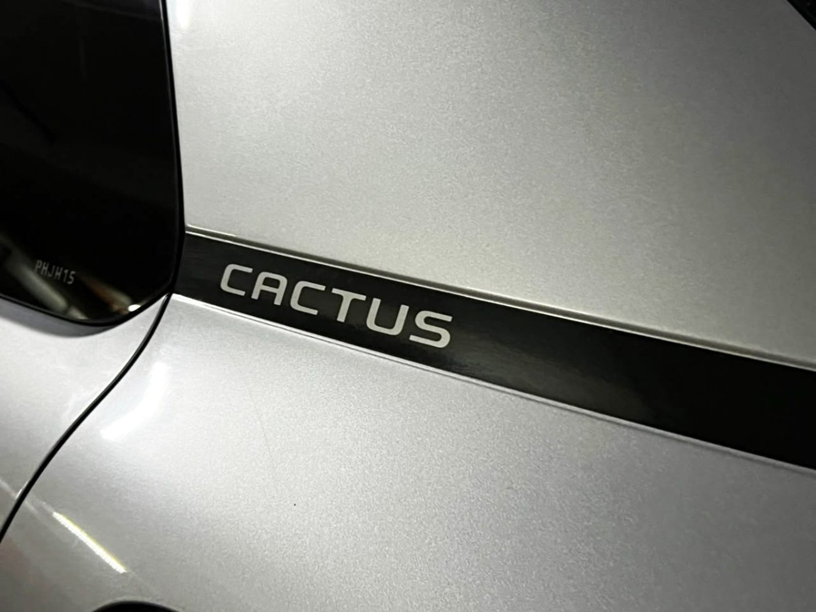 Citroën C4 Cactus Shine 1.2 2020 - Imagen 7 de 10