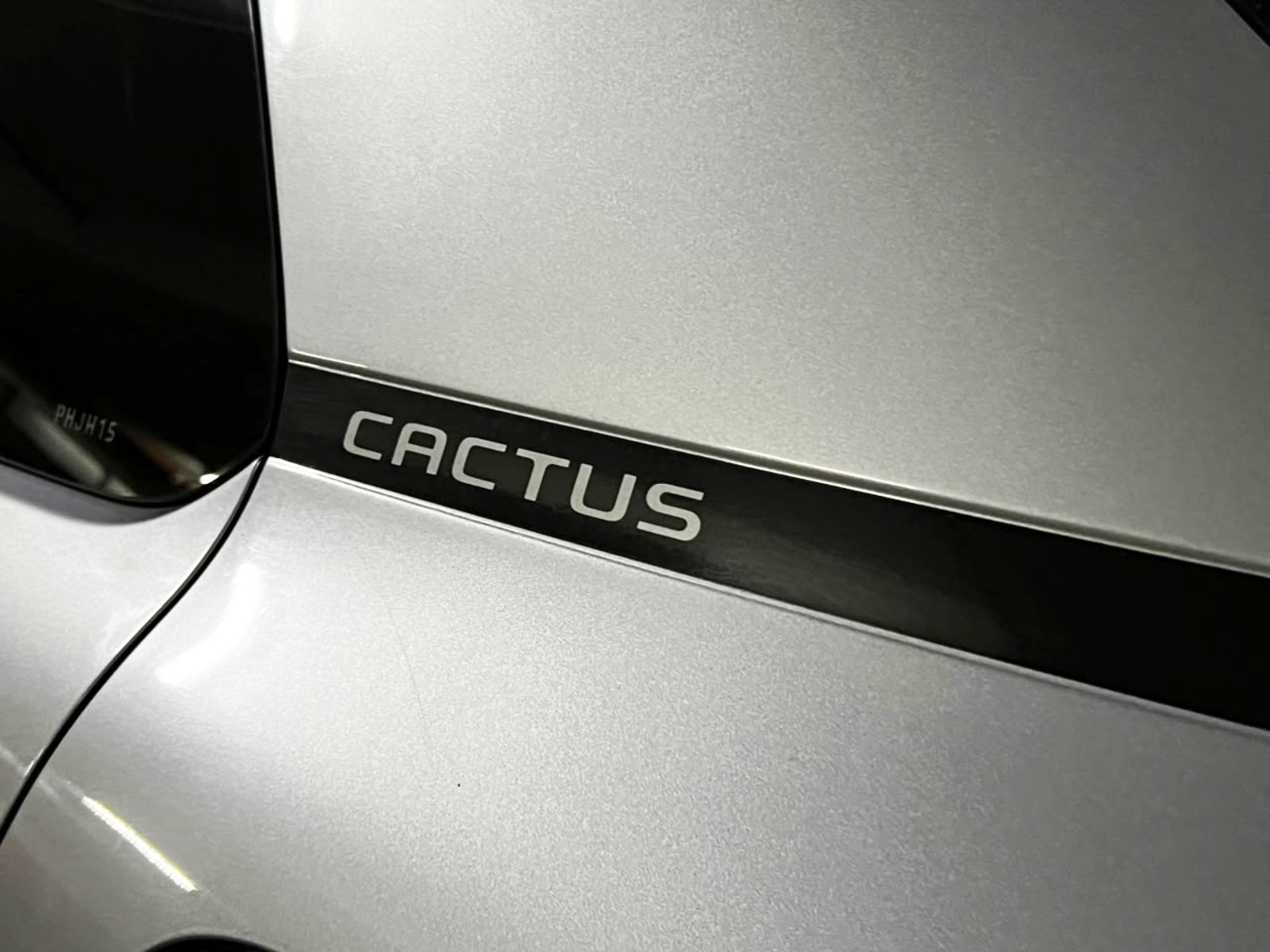 Citroën C4 Cactus 2020 - Imagen 9 de 20