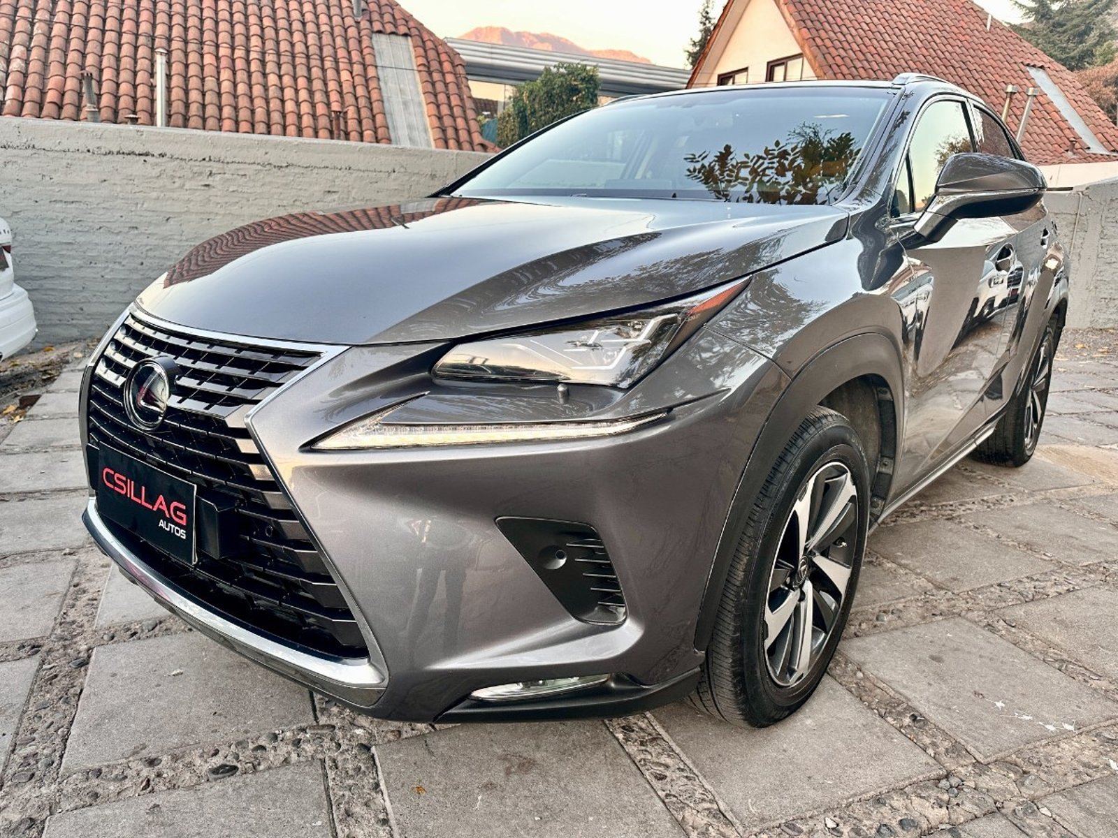 Lexus NX 300 LUJO 4x4 2019 - Imagen 3 de 10