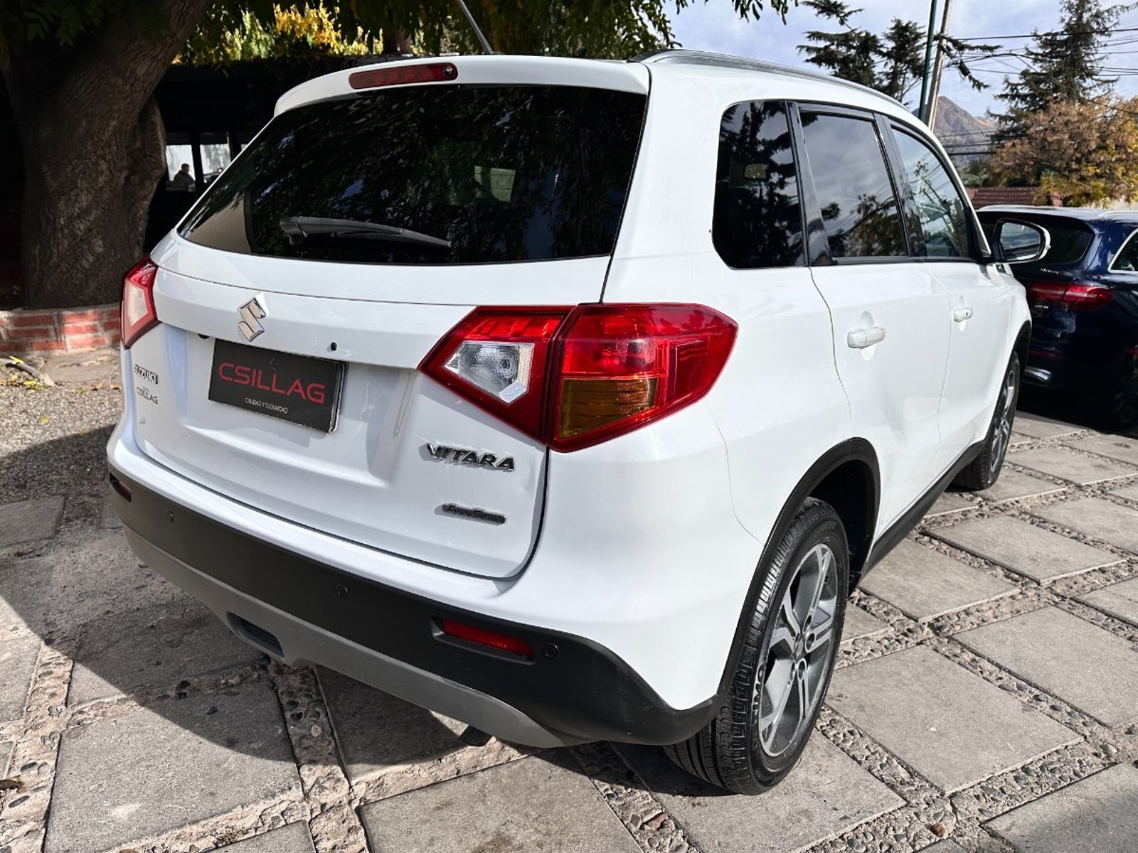 SUZUKI VITARA 4x4 ALLGRIP LIMITED 2019 - Imagen 8 de 10