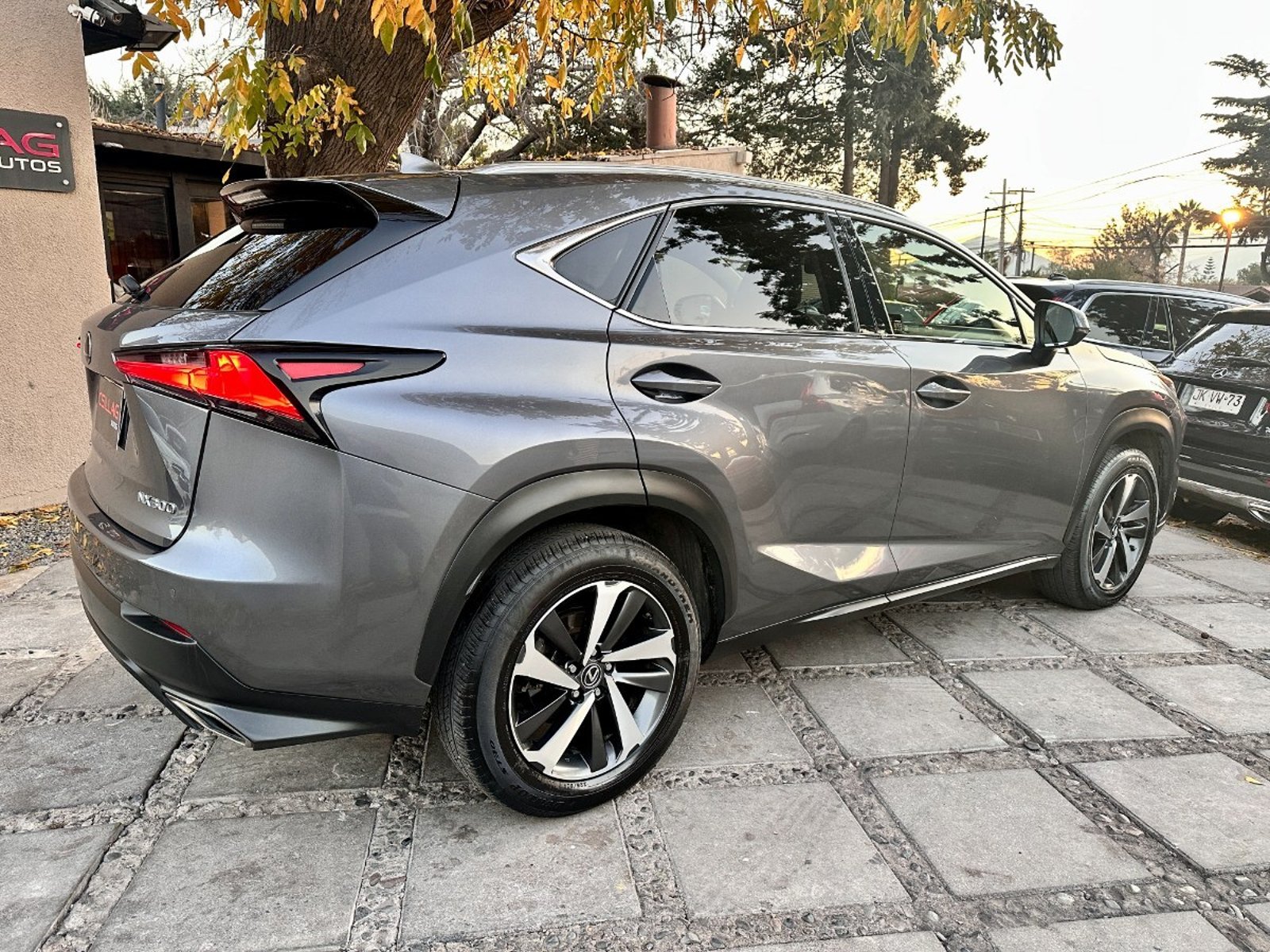 Lexus NX 300 LUJO 4x4 2019 - Imagen 9 de 10