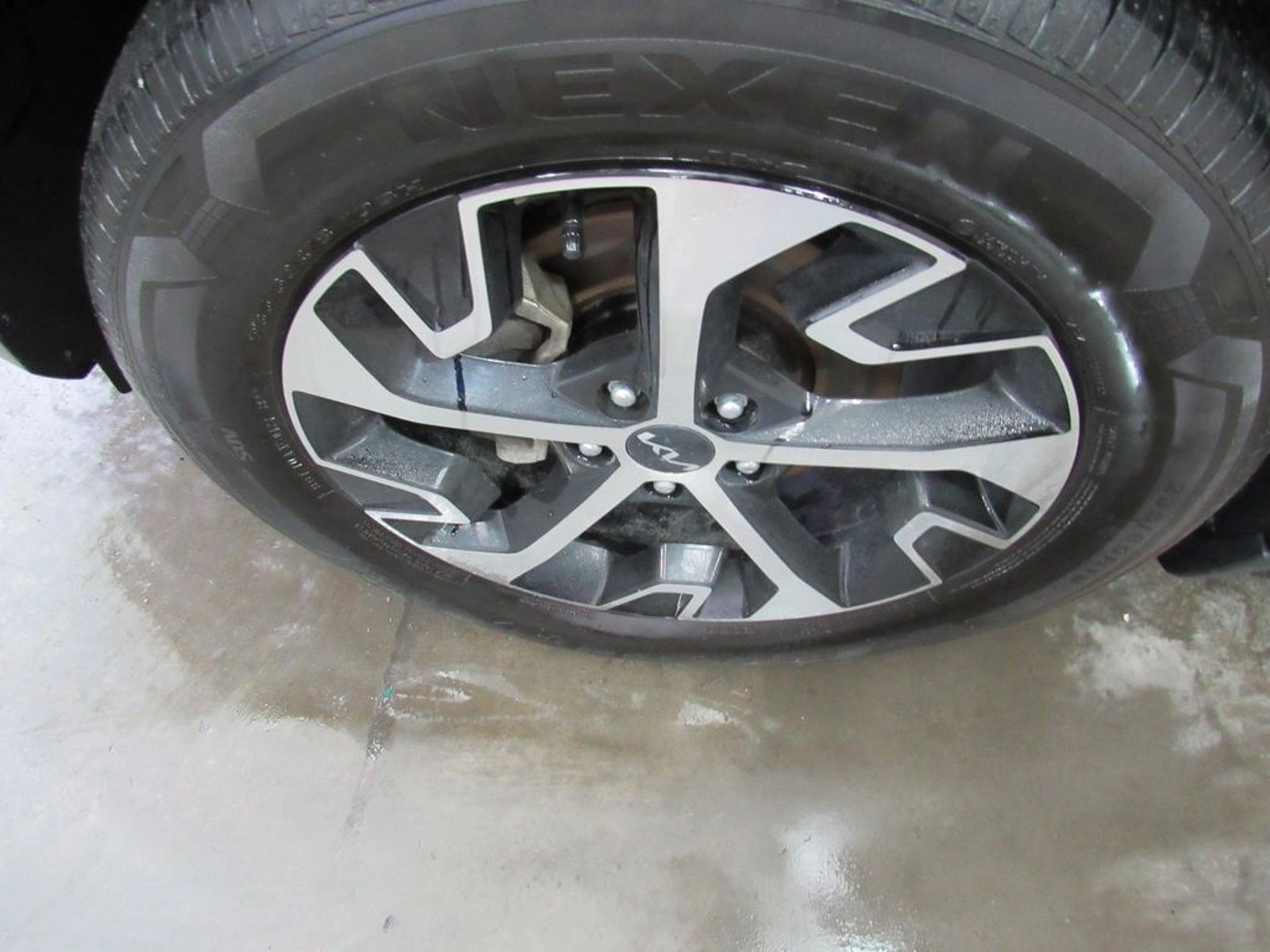 KIA SPORTAGE EX 2.0 AUT 2023 - Imagen 12 de 12