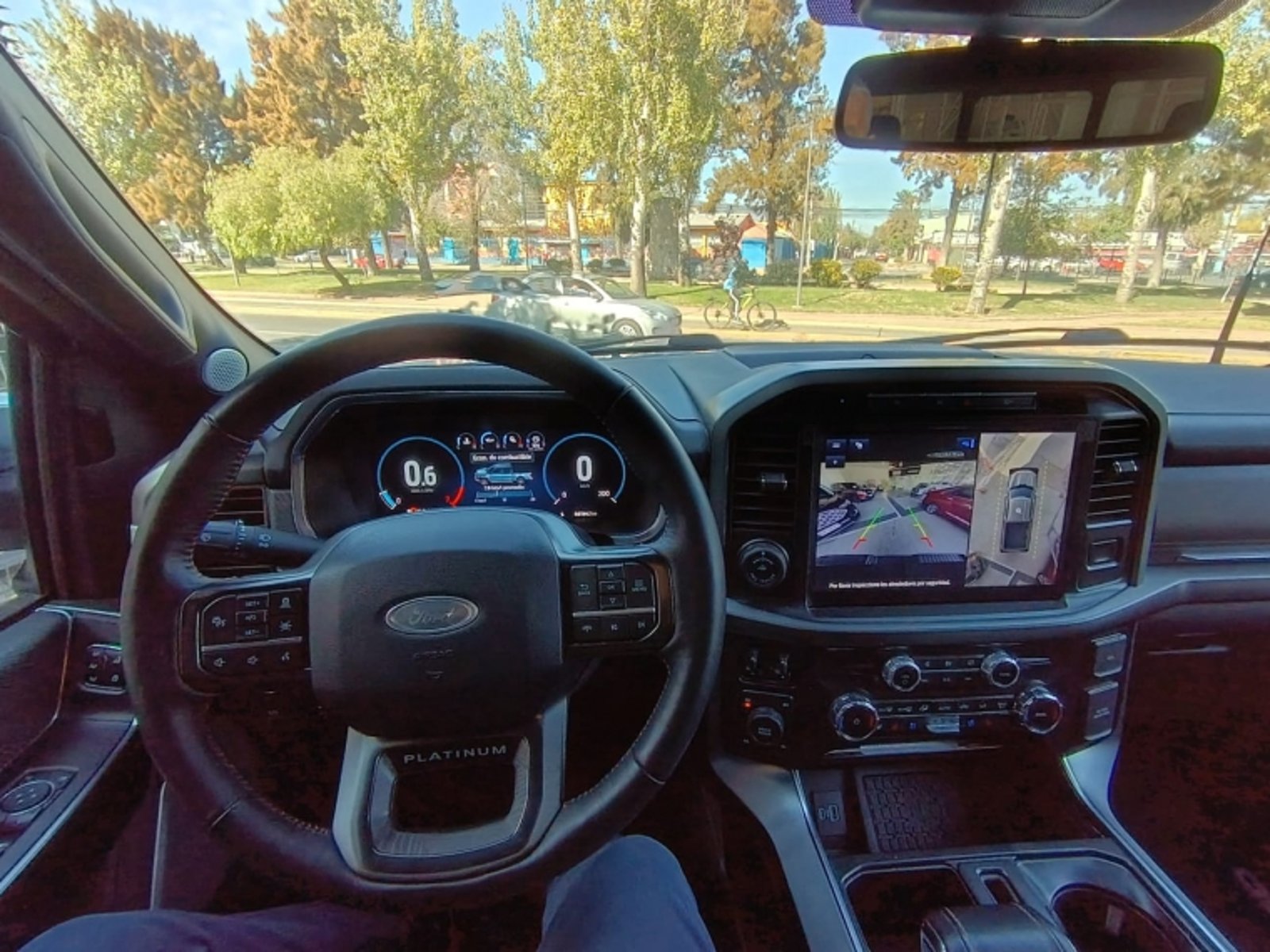 FORD F-150 3.5 PLATINUM CC AT 4X4 2024 - Imagen 11 de 13
