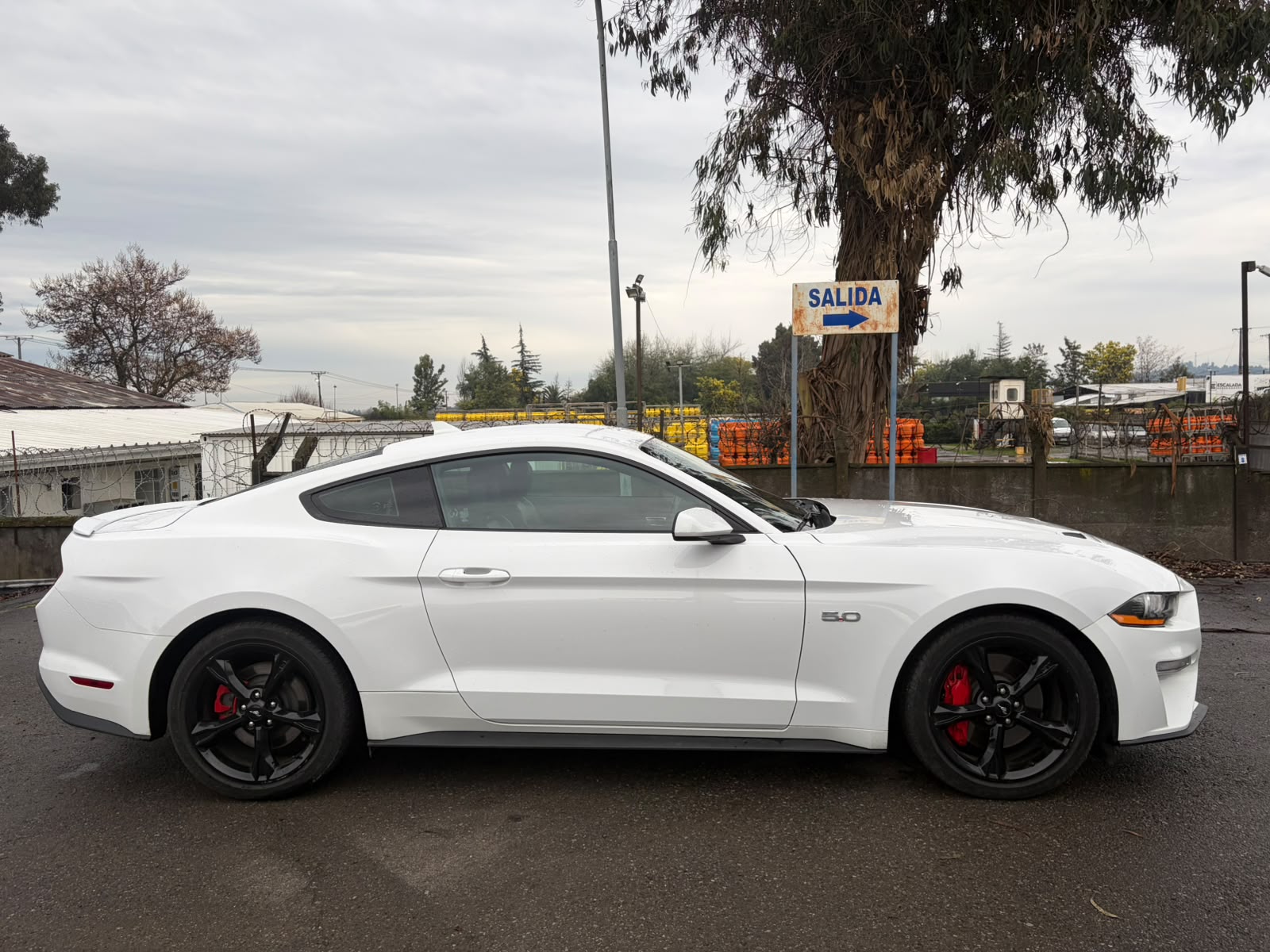 Ford MUSTANG 5.0 COUPE GT AT 2023 - Imagen 6 de 9