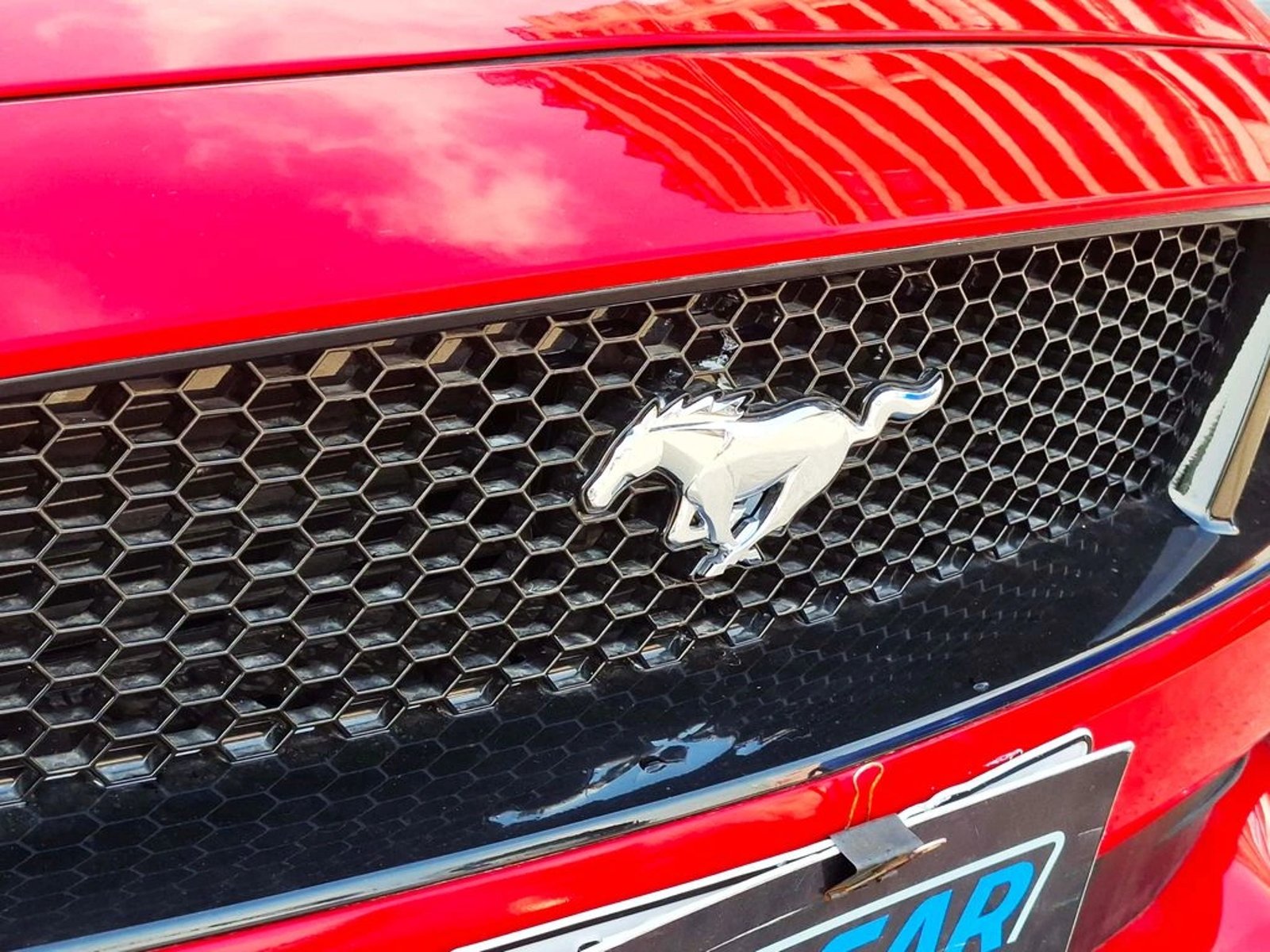 Ford MUSTANG COUPE 5.0 AUT 2023 - Imagen 4 de 20