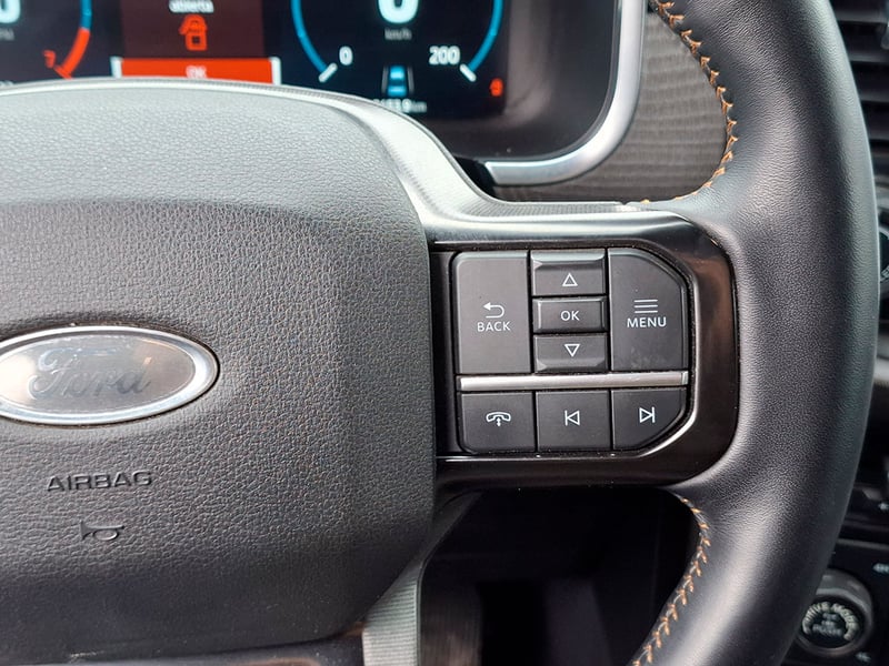 Ford F-150 FHEV PLATINUM 4X4 3.5 AUT 2024 - Imagen 15 de 20