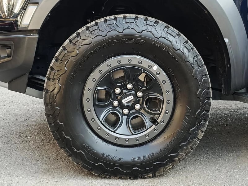 Ford RAPTOR 4X4 3.5 2024 - Imagen 11 de 20