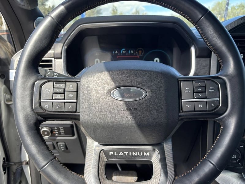 Ford F-150 3.5 PLATINUM CC DOB. CAB. 4X4 AT 4P 2024 - Imagen 19 de 20