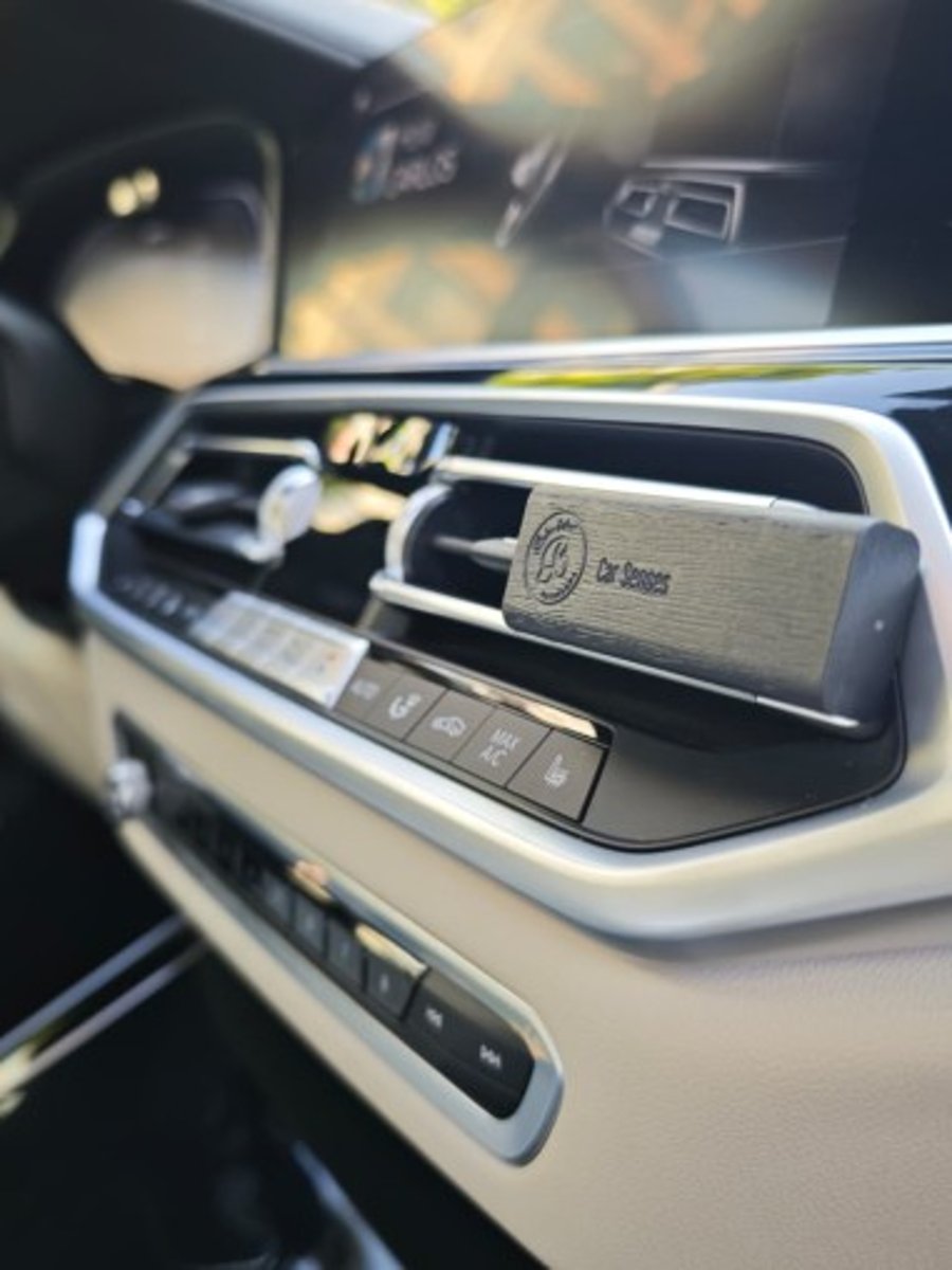 BMW X5 2022 - Imagen 9 de 16