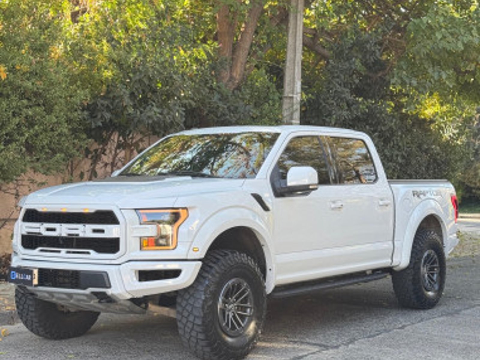 Ford F-150 RAPTOR 2020 - Foto 2 de 13