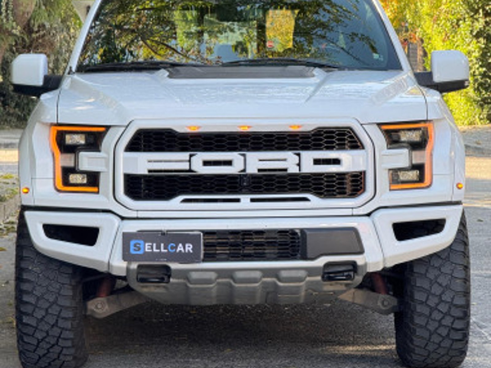 Ford F150 Raptor 2020 - Foto 2 de 13
