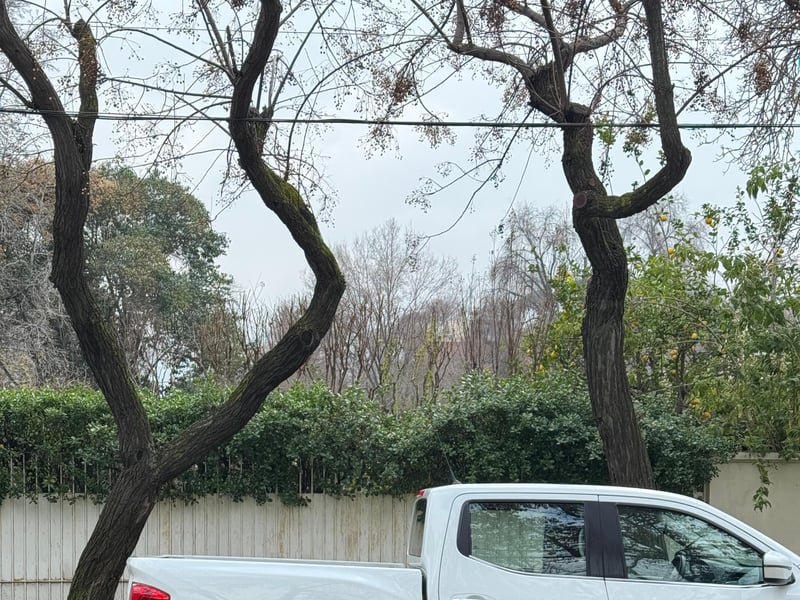 Nissan NAVARA 2024 - Imagen 18 de 19