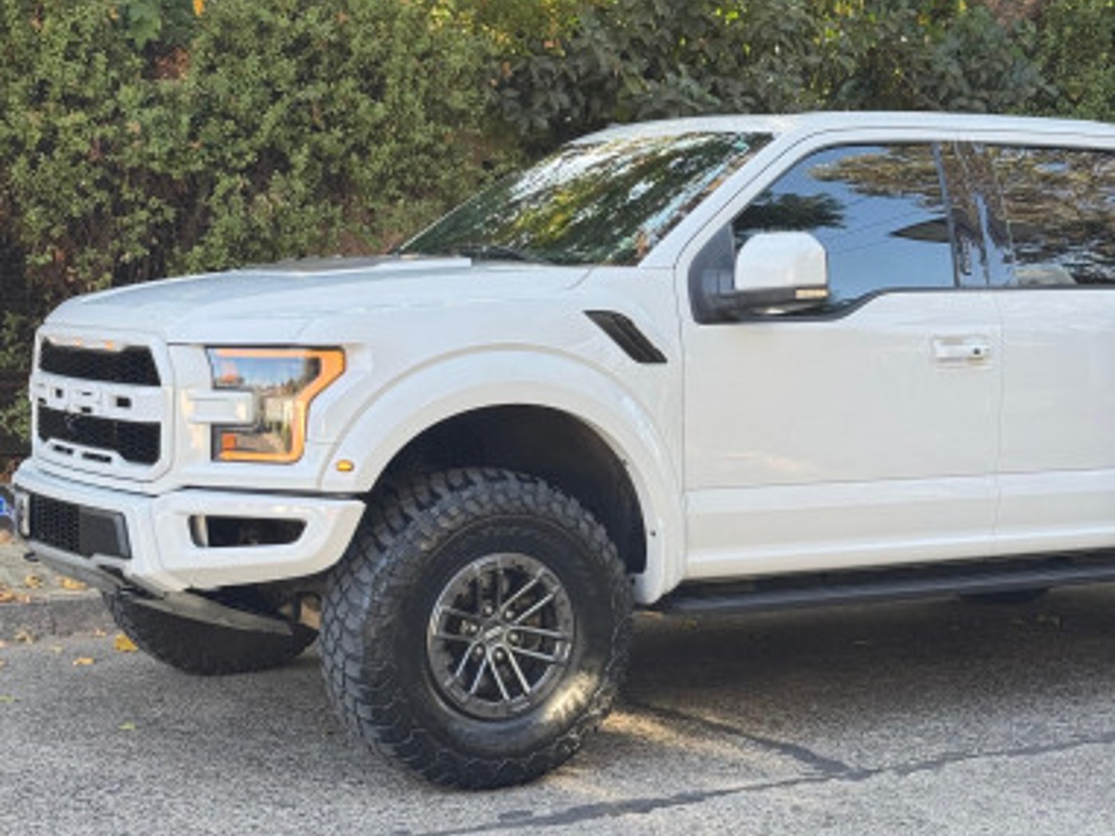 Ford F-150 RAPTOR 2020 - Foto 5 de 13