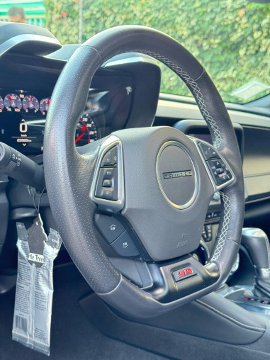 Chevrolet CAMARO 2021 - Imagen 19 de 20