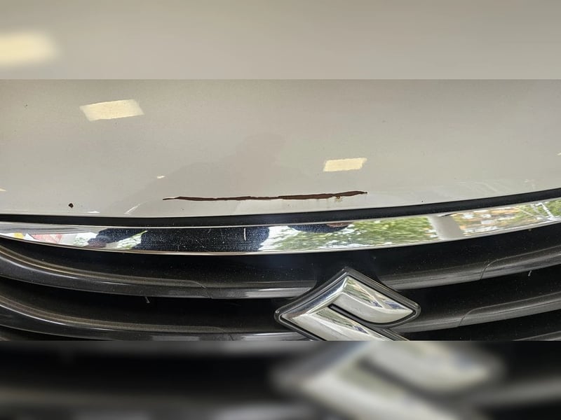 Suzuki SS S-CROSS 1.6 CVT GL AT 4X2 2016 - Imagen 8 de 8