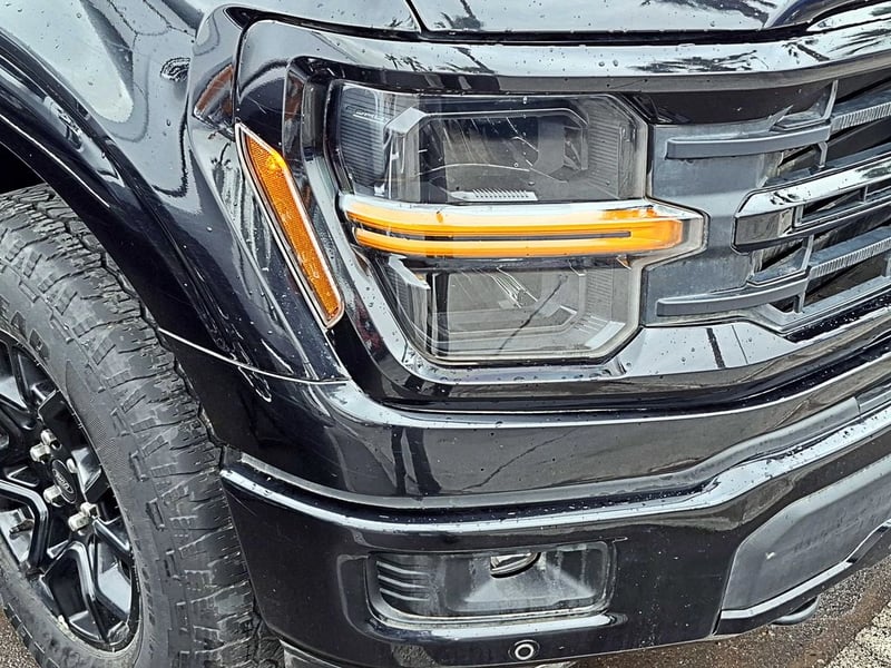 Ford F-150 5.0 XLT CC AT 4X4 2025 - Imagen 4 de 19