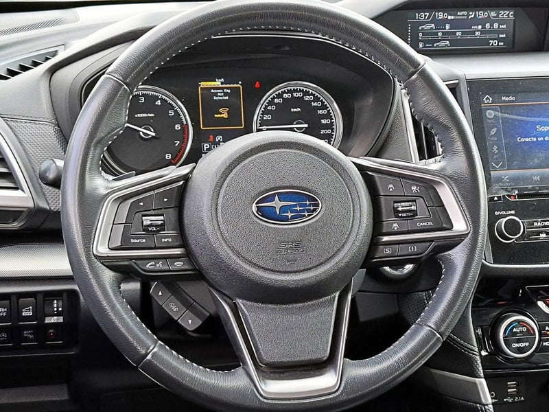 Subaru FORESTER 2.5I LIMITED 2019 - Imagen 13 de 19