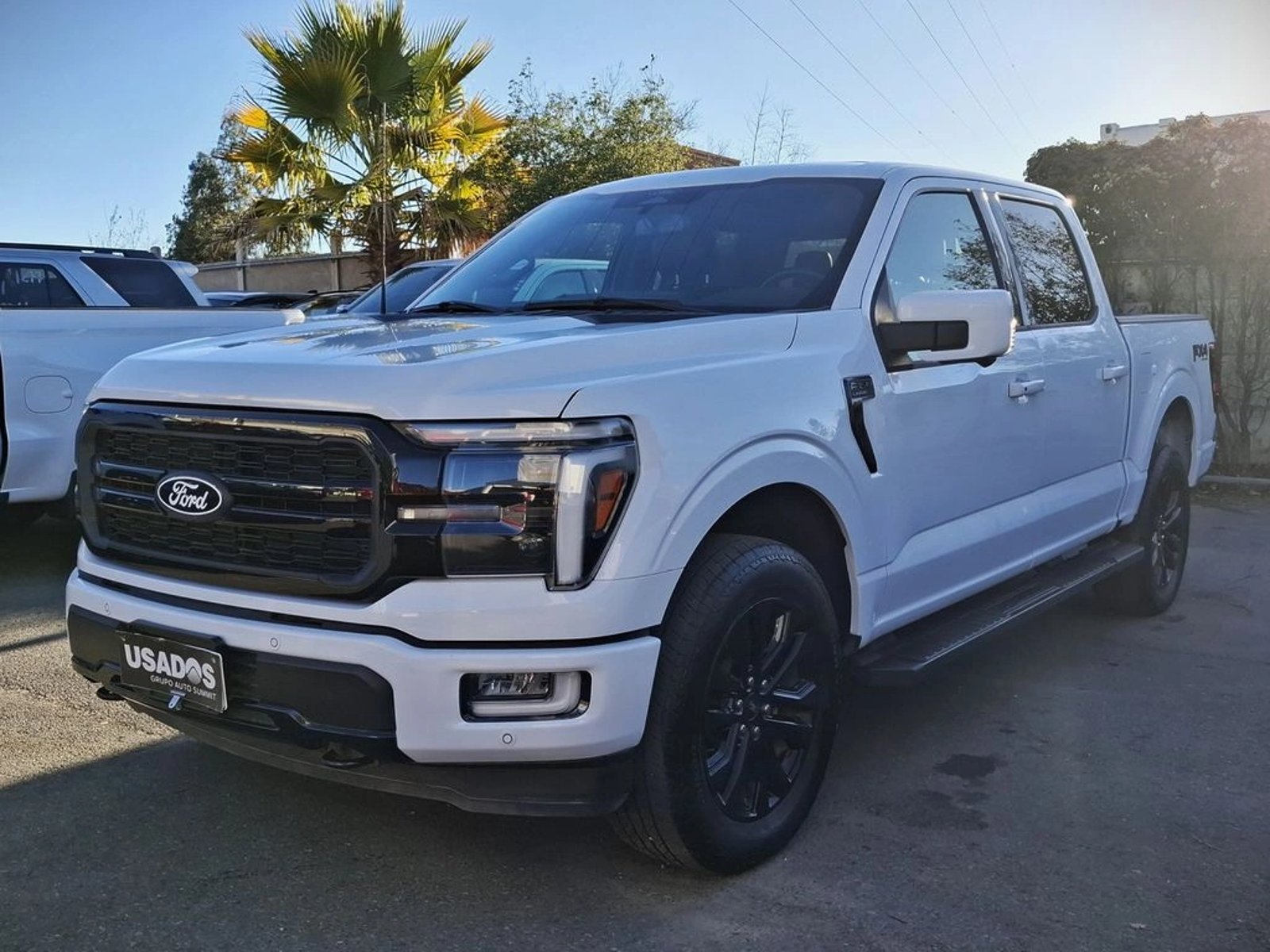 Ford F-150 2025 en Rancagua