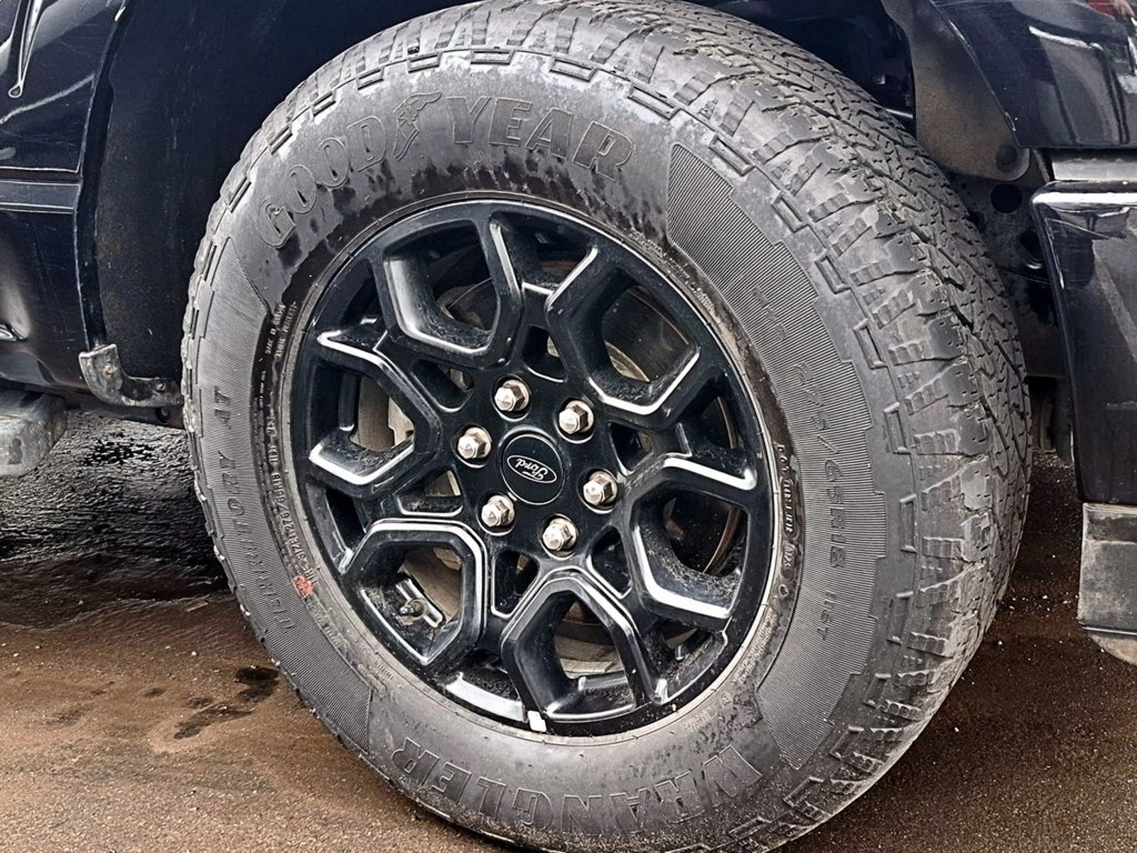 Ford F-150 5.0 XLT CC AT 4X4 2025 - Foto 5 de 19