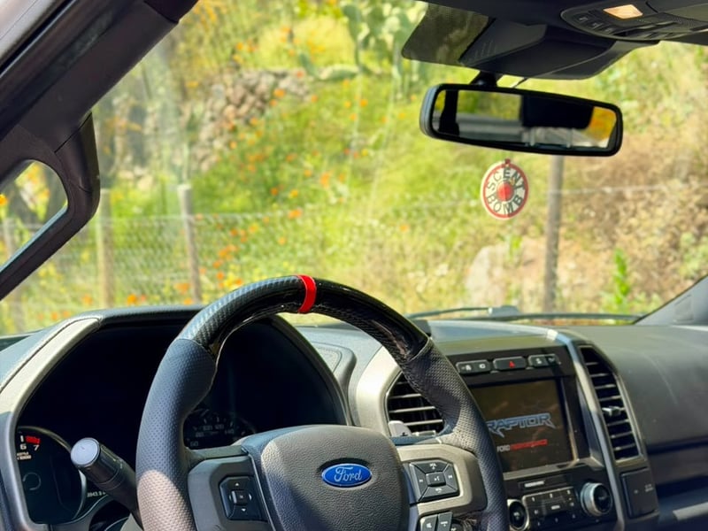 Ford Raptor f150 raptor 2020 - Imagen 7 de 8