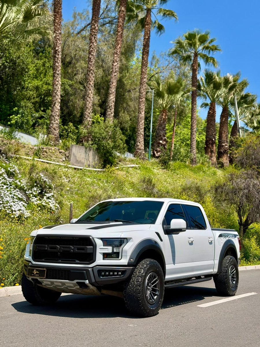 Ford Raptor f150 raptor 2020