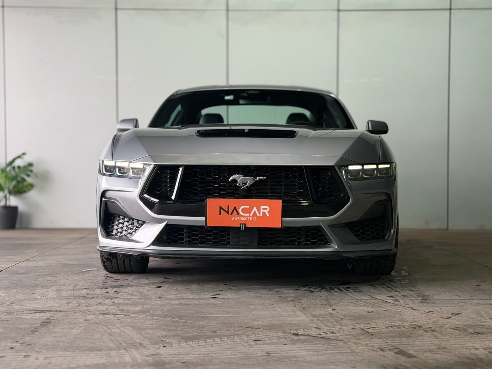 Ford MUSTANG 5.0 GT PREMIUM 4X2 COUPE AT 2P 2024 - Foto 2 de 19