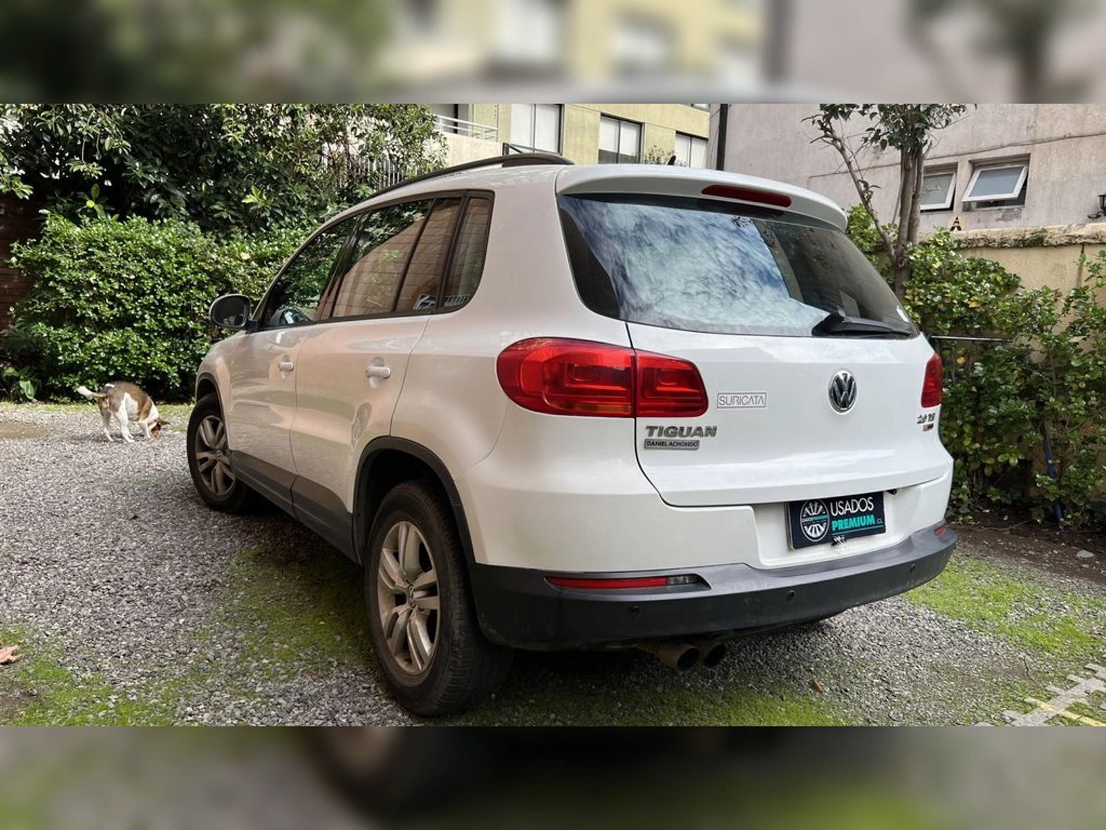 Volkswagen TIGUAN 2017 - Imagen 7 de 15